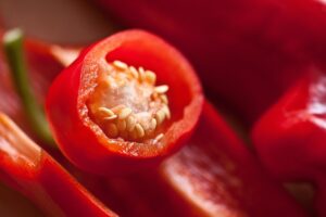 Dicas para cultivo de pimenta aumentam produção com técnicas eficazes.